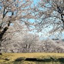 머슬팩토리24 사천본점 이미지