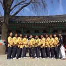 경희대박사태권도 이미지