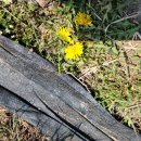 찬양카센타 이미지