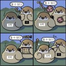 한소리노래연습장 | 8월 다섯째 주 그리고 9월
