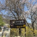 한터농원 영농조합법인 | [용인] 용인 아이랑 가 볼만한 곳, 따뜻한 날씨 나들이 가기 너무 좋은 곳 '한터 농원'