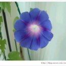야래향 - 서귀포시 신동로67번길 17 | 야래향