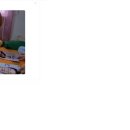 강아지 대통령 이미지