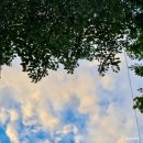 건원대로안길 | [블챌] 갓생살기 9주차 (in 제부도)