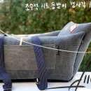 두그루 | [초코송이 추천템] 반려견 카시트 '두그루 올라운드L드라이빙킷' 🚙 내돈내산 후기