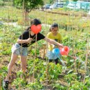 양천도시농업공원 이미지