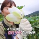 한씨농장 네이버블로그