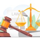 법률사무소 지율 이미지