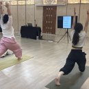 춤(1) | 빈야사 요가 (RVYT) 아카데미 부산 남구임은주 회장의 '빈야사 레벨 1' 직강 후기 - 프라나의 춤을 깨우다