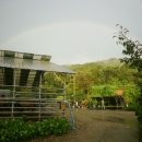 무지개 사슴농장 이미지