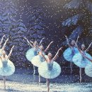 발레 호두까기 인형 | The Nutcracker - UNIVERSAL BALLET