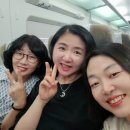 컨스턴트