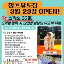 코리아 유도 짐 네이버블로그
