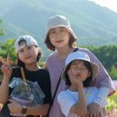 세인농장 이미지