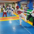 한국체대석사 태권도 이미지