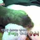 햇님농장 이미지