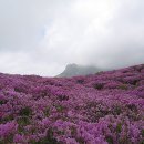 사진올리기공부(황매산 등산지도첨부) 이미지