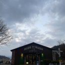 하이드온부쉬 | [춘천] 강촌카페 반려견 동반 가능한 '하이드 온 부쉬'