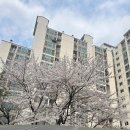 민들레어학원 | [4월 첫째주] 독일어 어학원 첫 후기