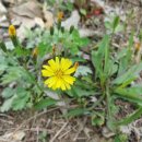 빨간펜수학의달인학원 이미지