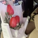 경기도 수원시 팔달구 장다리로172번길 이미지