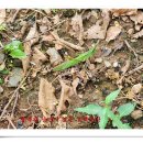 환산농장 이미지