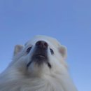 루피의 보물섬 이미지