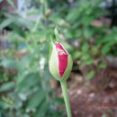 산곡동 한신휴 아파트 5 이미지