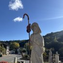 (주)해피여행사 | 2025 산티아고 순례길 후기 34 - 걷다 보면 삶이 보인다 (도보 31일차 ▶️ 사리아)