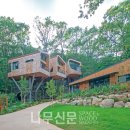 트리하우스 나무신문