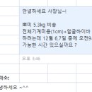 견미소 이미지