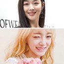 페인팅레이디디자인 이미지