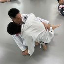아트유도