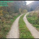 홍천군화촌면구성포보건진료소 이미지