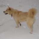 오렌지별장 이미지