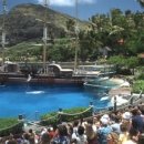 씨 라이프 이미지