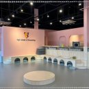 반려동물 토탈 케어 이미지