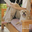 스테이소이