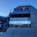 미앤마이독스 이미지