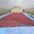 찬들농장 이미지