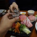 다운참치 이미지