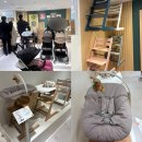 롯데 부산 파코라반베이비 | 스토케 롯데백화점 부산본점 트립트랩 베이비세트 뉴본세트 할인 및 내돈내산 후기