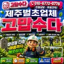 정성벌초묘지공사대행 | 제주벌초 도두동 가족묘지 250평 벌초 현장소개 잔디기계 및 송풍기 완벽 마무리