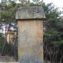 달전 이미지