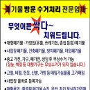 화진환경 이미지