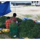 산해농장 이미지