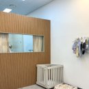 댕데이지 이미지