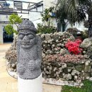 산방산모드락카페