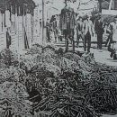 몬스터박스 이미지