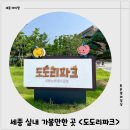 도도리파크(실내) | 세종 조치원 실내 아이랑 가볼만한 곳 도도리파크 네 번째 방문후기